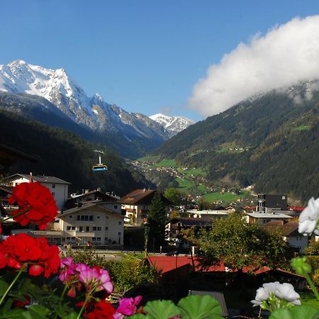 Appartement Haus Tasser à Mayrhofen Extérieur photo