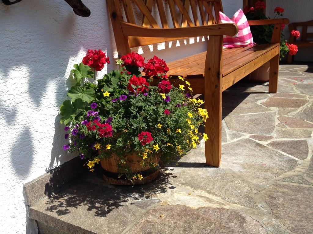 Haus Tasser Mayrhofen Extérieur photo