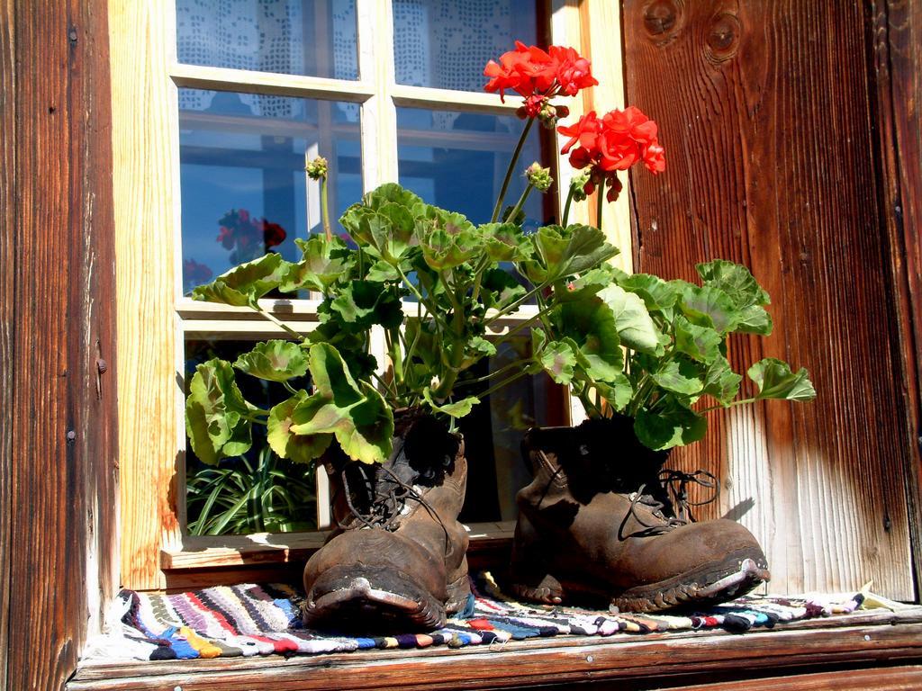 Appartement Haus Tasser à Mayrhofen Extérieur photo